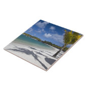 Mauritius, Ostmauritius, Trou d' Eau Douce, Fliese (Seite)