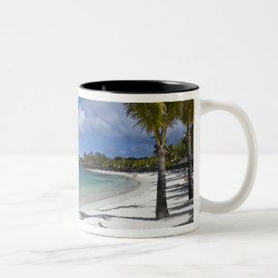 Mauritius, Ostmauritius, Trou d' Eau Douce, Zweifarbige Tasse