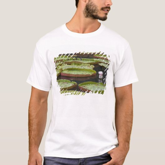Mauritius, Pamplemousse, SSR Botanical T-Shirt (Vorderseite)