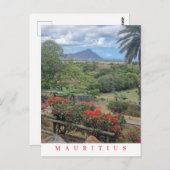 Mauritius Panoramablick Postkarte (Vorne/Hinten)