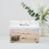 Mauritius Postcard Postkarte (Stehend Vorderseite)