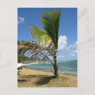 Mauritius Postkarte