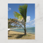 Mauritius Postkarte (Vorderseite)