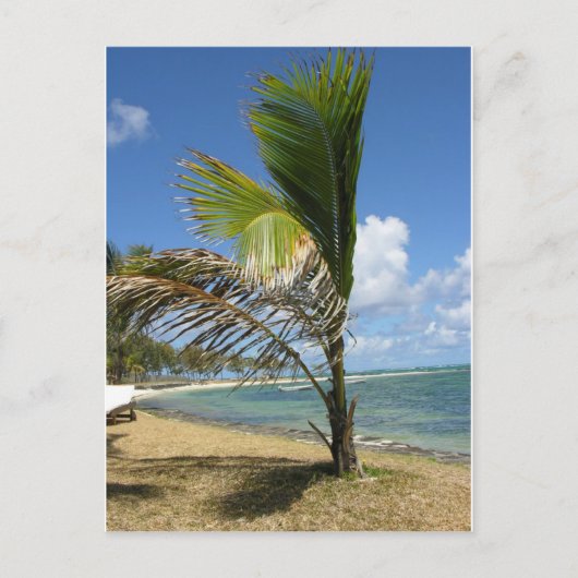 Mauritius Postkarte (Vorderseite)