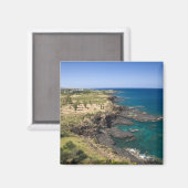 Mauritius, Western Mauritius, Belle Vue, Ozean Magnet (Vorderseite/Rückseite)