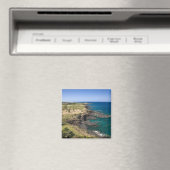 Mauritius, Western Mauritius, Belle Vue, Ozean Magnet (In Situ (Geschirrspüler))
