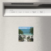 Mauritus Magnet (In Situ (Geschirrspüler))