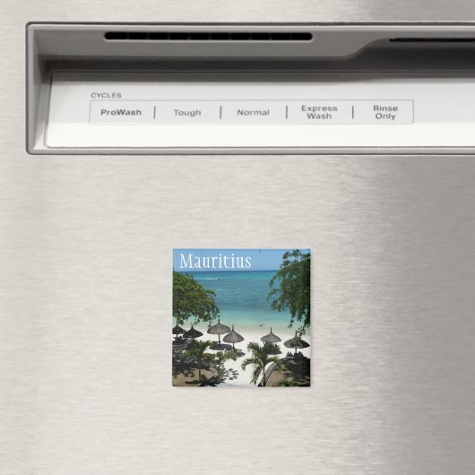 Mauritus Magnet (In Situ (Geschirrspüler))