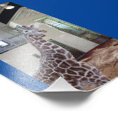 Maus 4X6 Print #1 Fotodruck (Ecke)