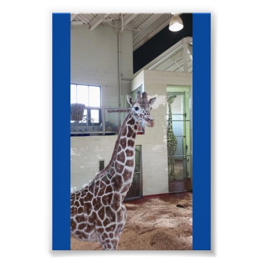 Maus 4X6 Print #1 Fotodruck (Vorne)