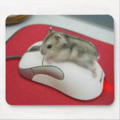 Maus auf einer Maus Mousepad (Vorne)