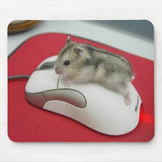 Maus auf einer Maus Mousepad (Vorne)