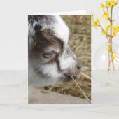 Maus die Babyziege Karte (Gelbe Blume)