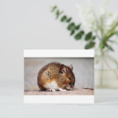 Maus drucken postkarte (Stehend Vorderseite)