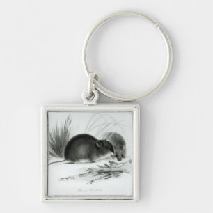 Maus, Feuerland, Südamerika c.1832-36 Schlüsselanhänger