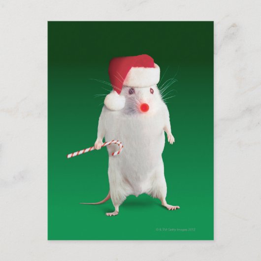 Maus gekleidet als Weihnachtsmann Feiertagspostkarte (Vorderseite)