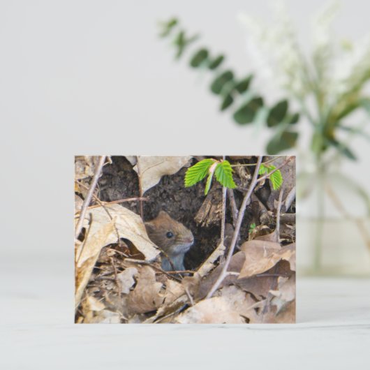 Maus im Haus Postkarte (Stehend Vorderseite)