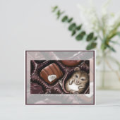 Maus in der Schokoladenbox Postkarte (Stehend Vorderseite)