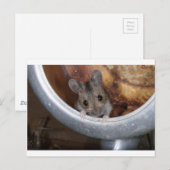 Maus in einem Teekessel Postkarte (Vorne/Hinten)