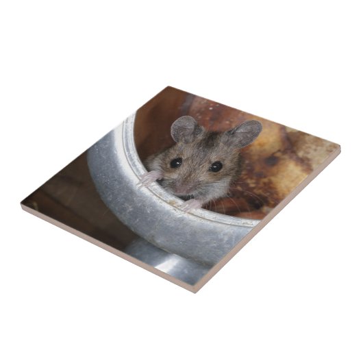 Maus in einer Teekanne Fliese (Seite)