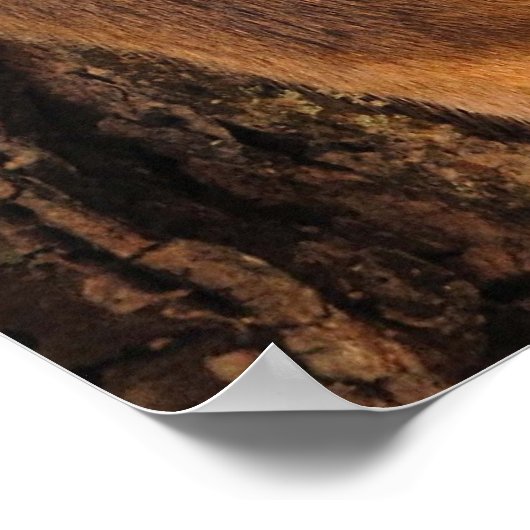 Maus Kletterbaum Poster (Ecke)