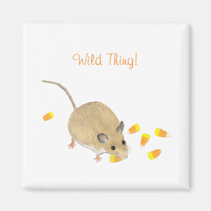 Maus Magnet