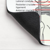 Maus Pad Anatomisches Diagramm Menschenrechtsknie  Mousepad (Ecke)