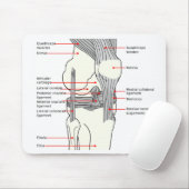 Maus Pad Anatomisches Diagramm Menschenrechtsknie  Mousepad (Mit Mouse)