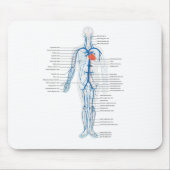 Maus Pad Arterialsystem Venen humane Kreisläufe Mousepad (Vorne)