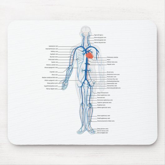 Maus Pad Arterialsystem Venen humane Kreisläufe Mousepad (Vorne)