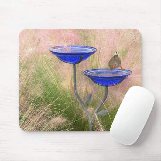 Maus Pad Bird Bath & Finish Mousepad (Mit Mouse)