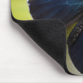 Maus-Pad/Blaue Langschwingenschmetterling Mousepad (Ecke)