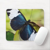 Maus-Pad/Blaue Langschwingenschmetterling Mousepad (Mit Mouse)