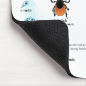 Maus Pad Diagramm Babesia microti Lebenszyklus Mousepad (Ecke)