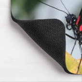 Maus Pad/Doris Langschwinger-Schmetterling Mousepad (Ecke)