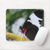 Maus Pad/Doris Langschwinger-Schmetterling Mousepad (Mit Mouse)