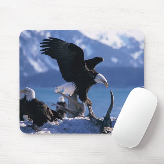 Maus Pad-Eagles Mousepad (Mit Mouse)
