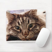 Maus Pad Maine Coon Cat Mousepad (Mit Mouse)