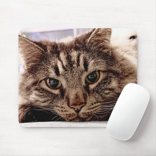 Maus Pad Maine Coon Cat Mousepad (Mit Mouse)