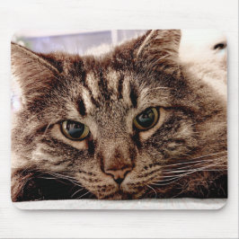 Maus Pad Maine Coon Cat Mousepad