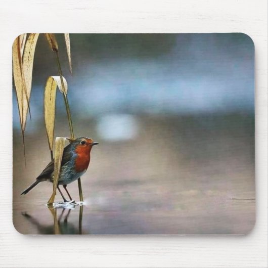 Maus Pad Mousepad (Vorne)