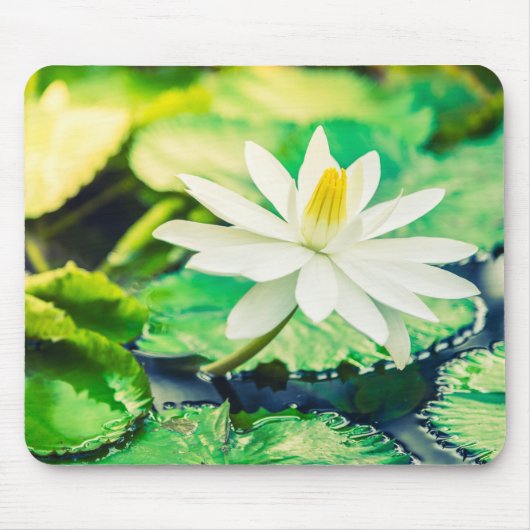 Maus Pad Mousepad (Vorne)