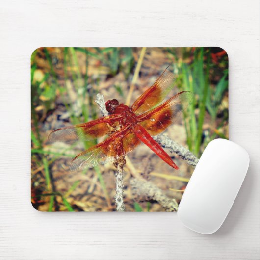 Maus Pad Orange Dragonfly Mousepad (Mit Mouse)