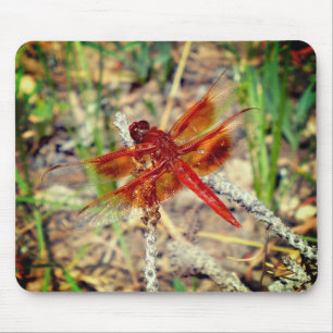 Maus Pad Orange Dragonfly Mousepad