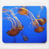 Maus Pad - Quallen Mousepad (Vorne)