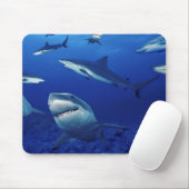 Maus Pad-Sharks Mousepad (Mit Mouse)