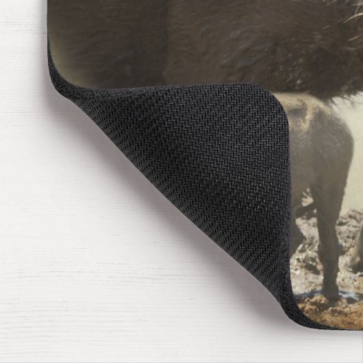 Maus Pad Warthog mit Babys aus Afrika Mousepad (Ecke)