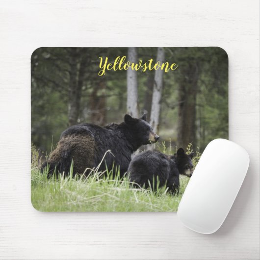 Maus Pad-Yellowstone-Bär Mousepad (Mit Mouse)