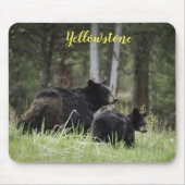 Maus Pad-Yellowstone-Bär Mousepad (Vorne)