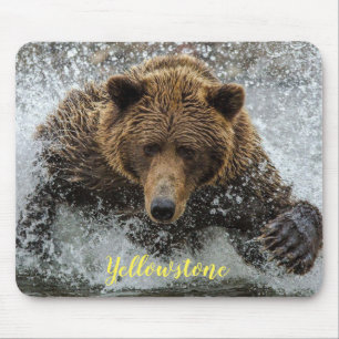 Maus Pad-Yellowstone-Bär Mousepad